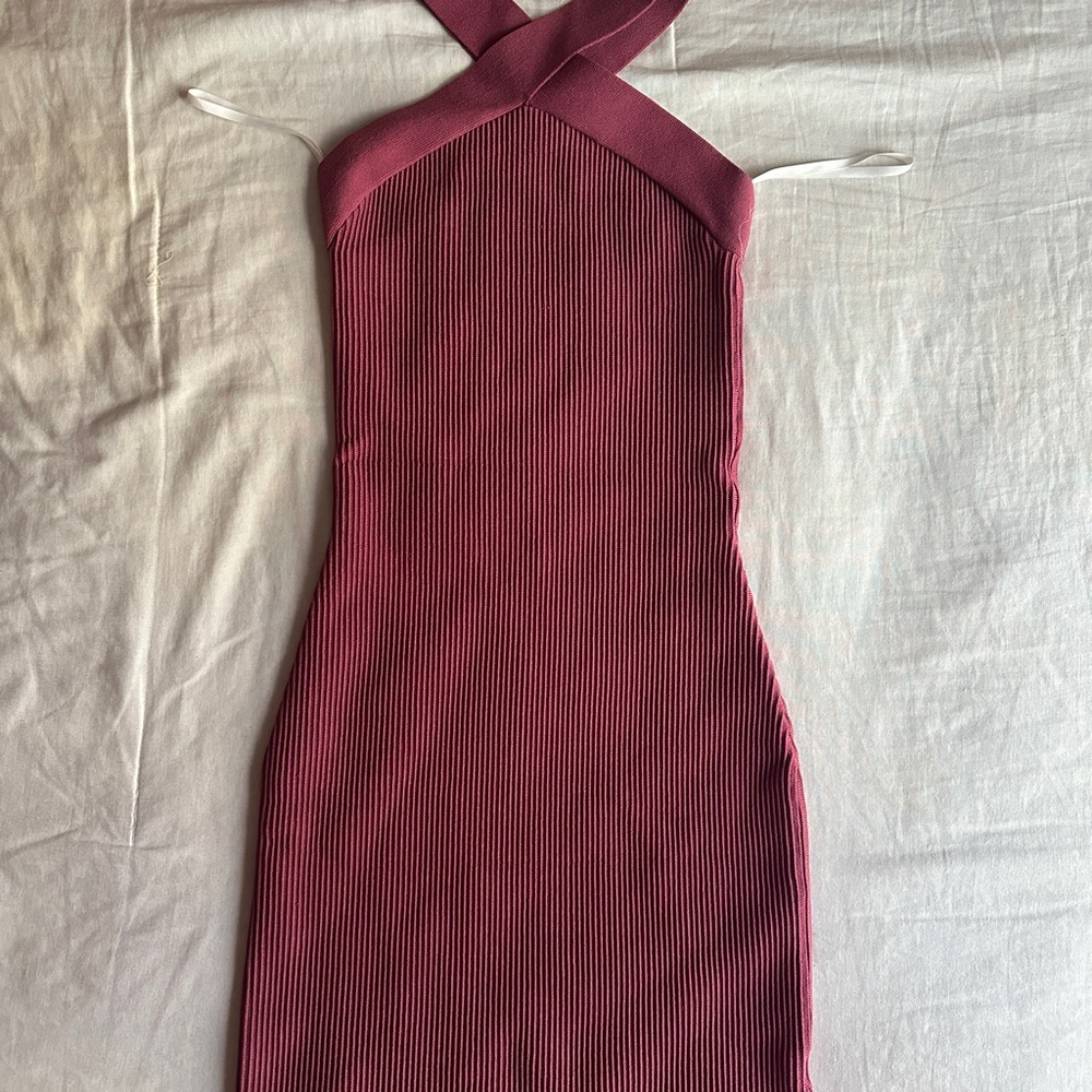 Aritzia Babaton Mini Dress